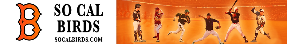 TSH Logo- Orbitron- Ariel Narrow on white-1600x250.png