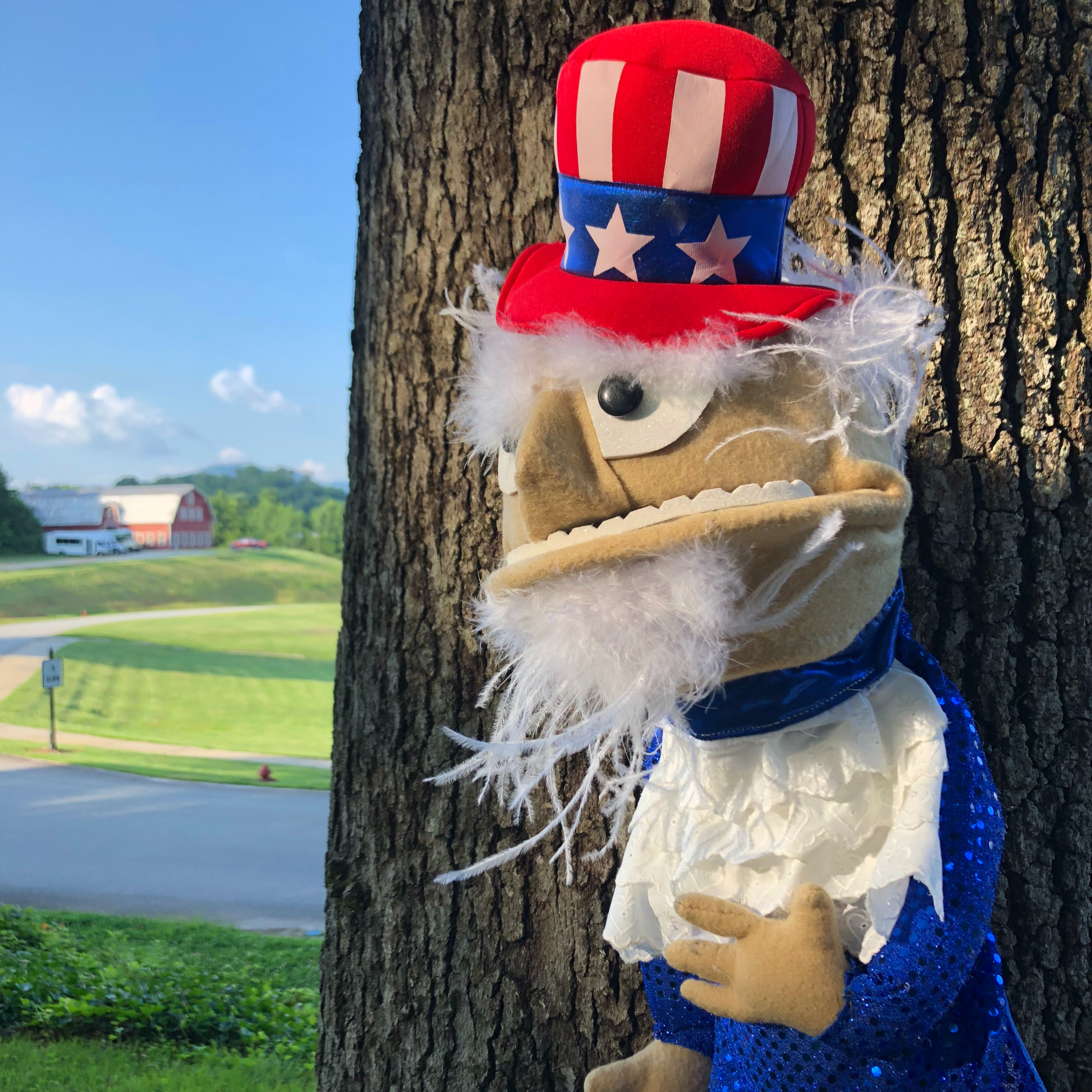 Uncle Sam