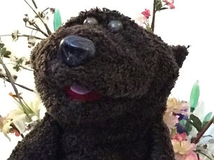 PUPPET-A-WEEK WORKSHOP