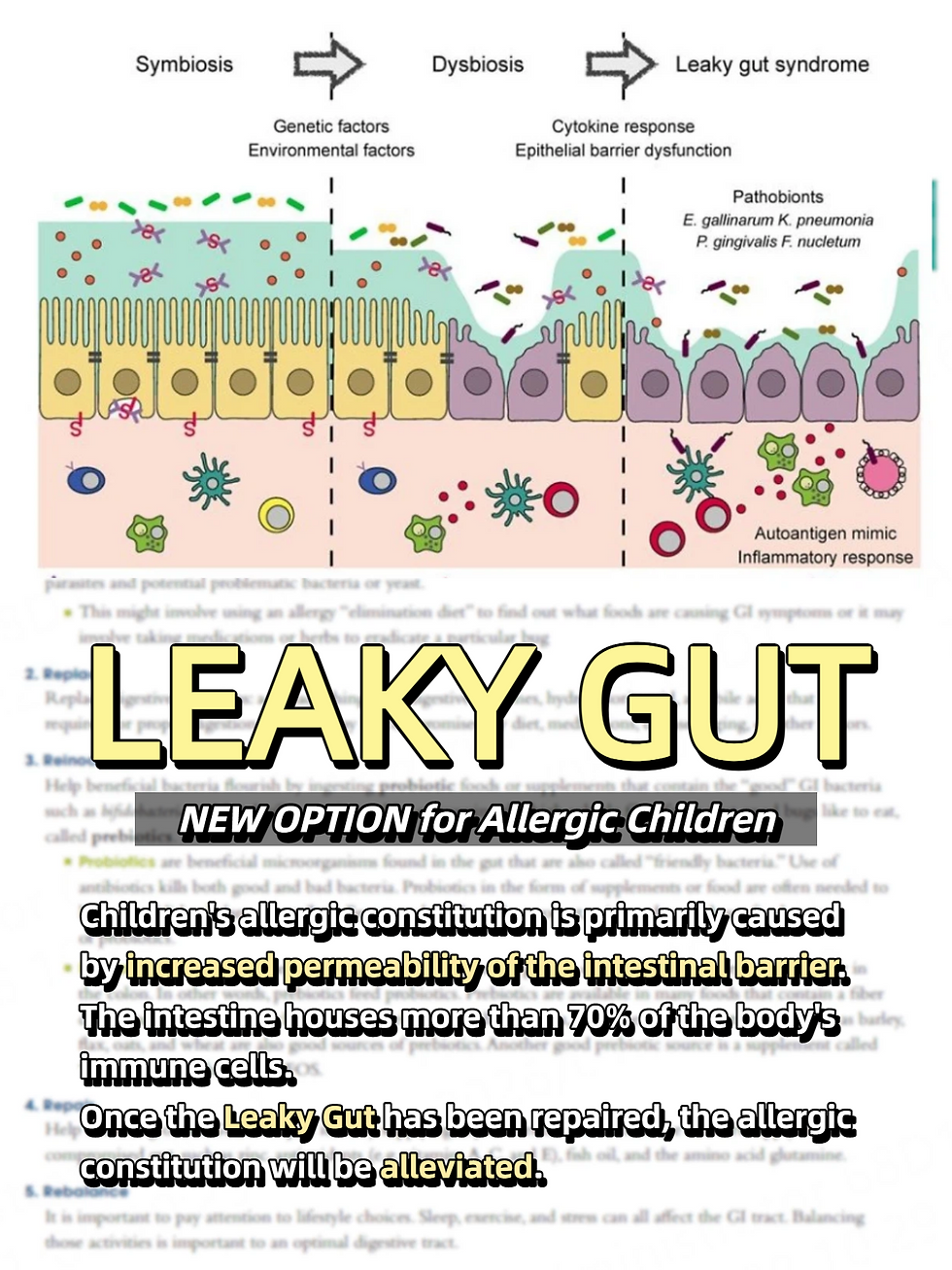 90% of children with allergies need to repair intestinal Leaky Gut