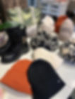 Cisar_Image_1.jpeg