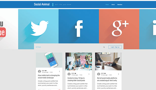 business marketing website templates