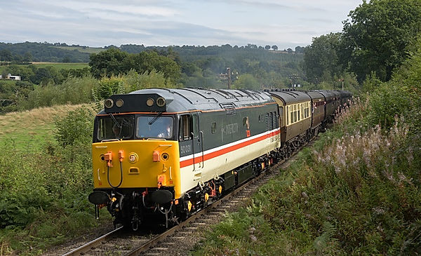 Class 50 50031 Hood