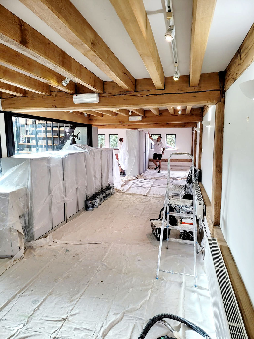 Artemis Eurospace - Office Painting in Steyning 