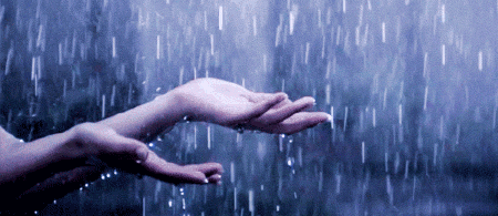 ab5202ae1028e6cfffff8031ac1e1e75_1.gif