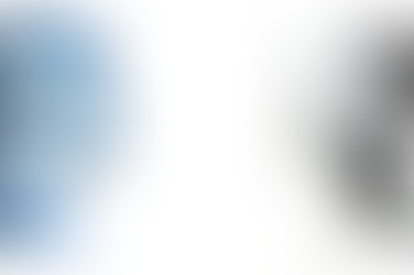 Reverse-Engineering the Brain