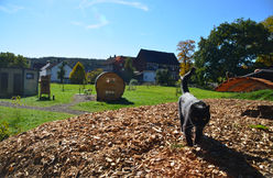 Fass Herbst6.JPG