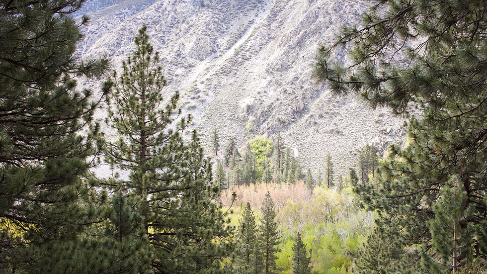 Big Pine, CA