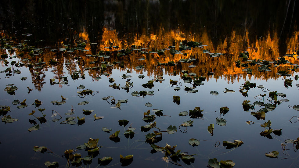 Sunrise Reflection
