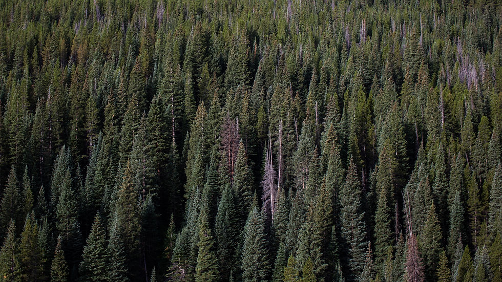 Colorado