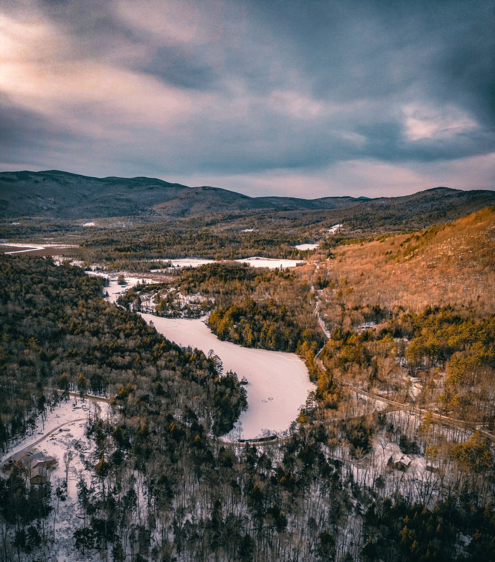 campton bog stock (12) p