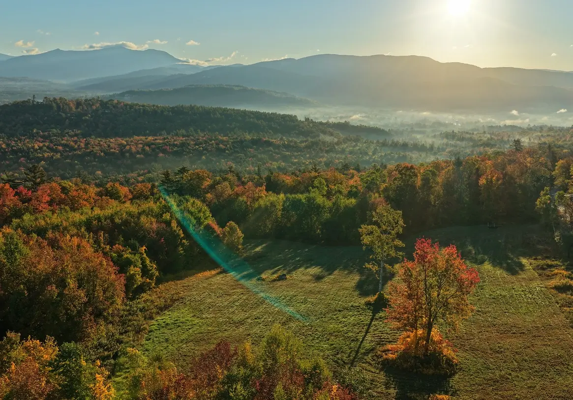 converted_nvdw_landscape.webp