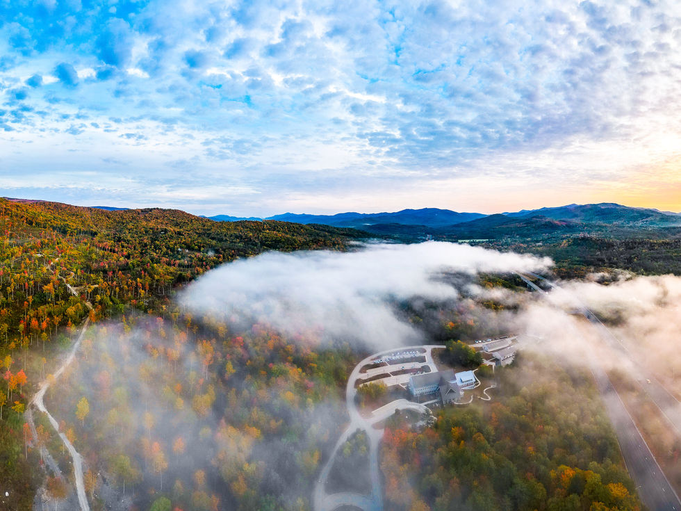 White_Mountain_Forest_HQ