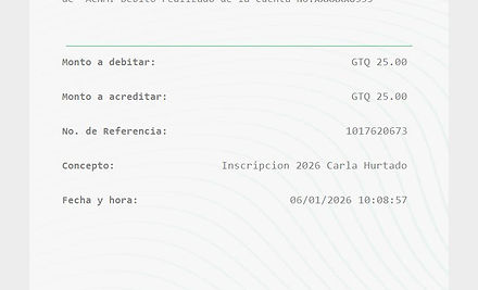 Ejemplo Boleta.jpg