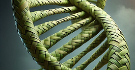 Steven Wolk, Sinawali Biotechnology Solutions Founder and Chief Consultant, publishes Guest column in Advanced RNA digital magazine
