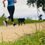 Thumbnail: RWDA Racer Back Singlet Womens & Mens