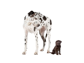 BEFORE buying an air conditioner find out why correct sizing is so important 