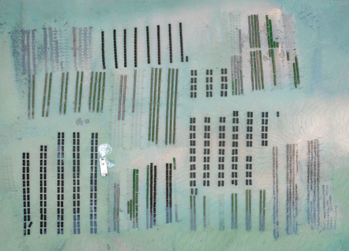 Nicolas Sylvester Kamp