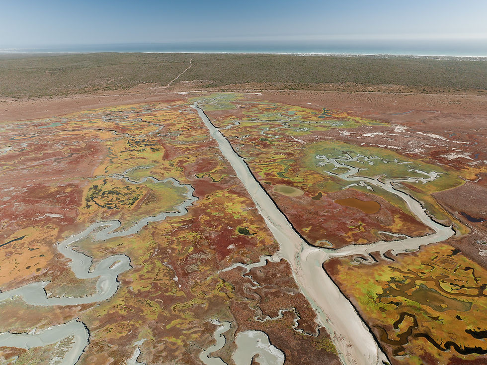DJI_0115.jpg