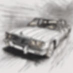 occasion car schield.jpg