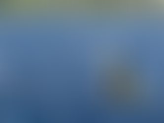 LA ENERGÍA SOLAR CONTRAATACA