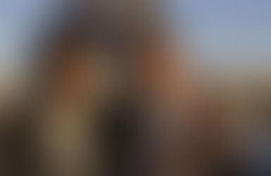 No.28『アリゾナ・ドリーム』