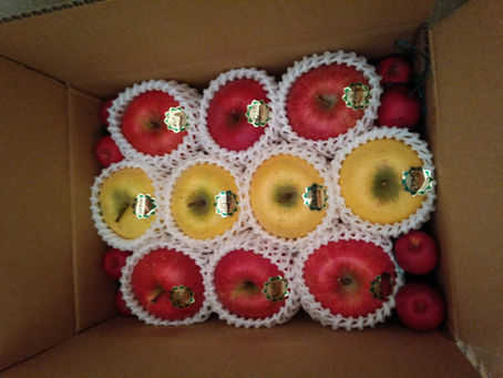 林檎といふハート並んで居りにけり　魅歌