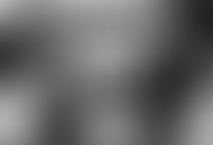 No.321『ストレンジャー・ザン・パラダイス』