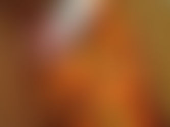 滋味のある柿を作りし夫婦かな　魅歌