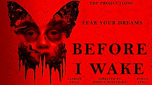 Before I Wake Landscape.jpg