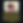 99B0D83F-354C-4F27-B7BA-85235DACB4DF.png