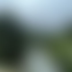 Inconvenient Roads With Convenient Landscapes: Karadeniz