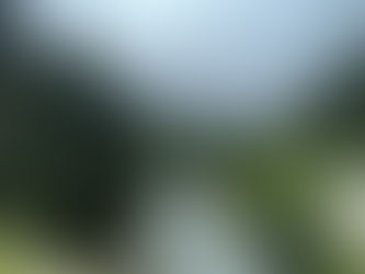 Inconvenient Roads With Convenient Landscapes: Karadeniz