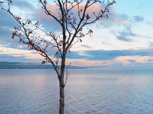 Våren - nye muligheter.