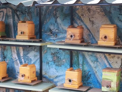 Verba de emenda da Câmara deve viabilizar projeto Jardins do Mel, lei aprovada em 2022