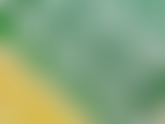 Mega-Sena sorteia nesta terça-feira prêmio acumulado em R$ 46 milhões