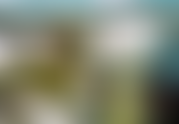 Cataratas do Iguaçu iluminam Times Square em Nova York