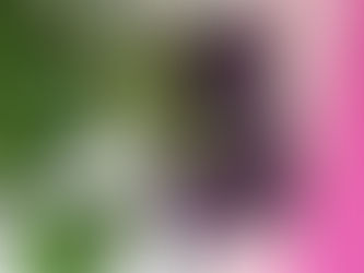 Sunday night intention setting.