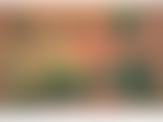 Having the correct nitrogen to foliar feed