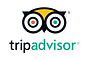 Logo of Tripadvisor agency