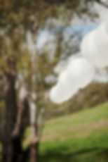 Starlight Country Weddings