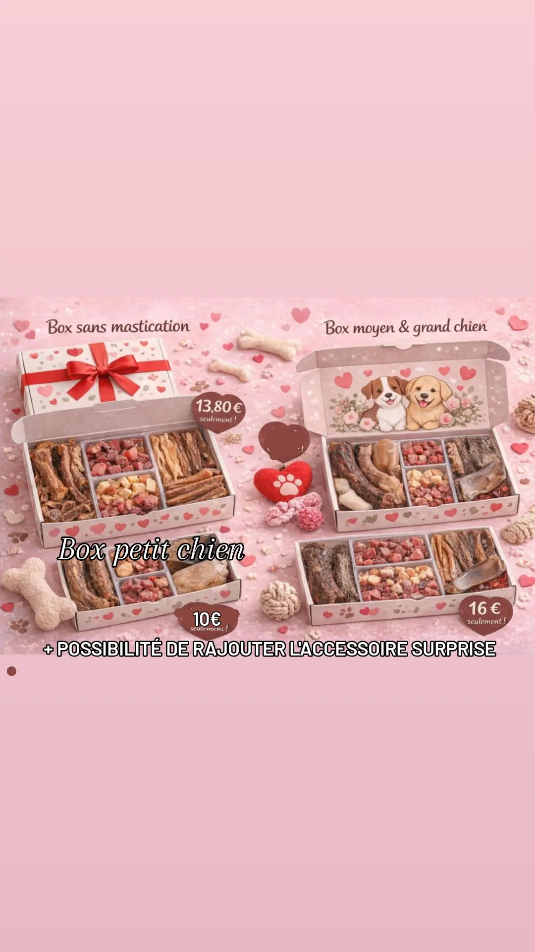 Box St Valentin petit chien 