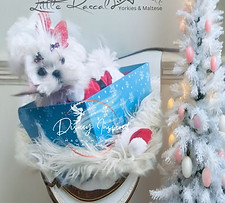 Copy of Baby Hearley 1 _edited.jpg