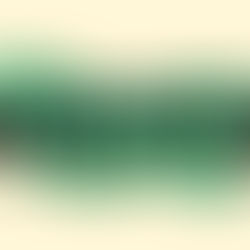 Living Together With an Omnivore