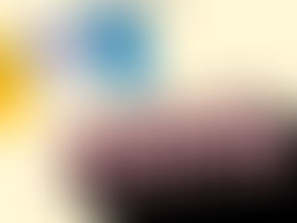 Animal Tourism: Be a Friend, Not a Felon