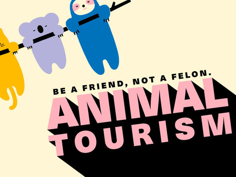 Animal Tourism: Be a Friend, Not a Felon