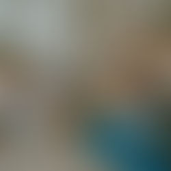 Oogstmarkt Insights: Vegan Galore