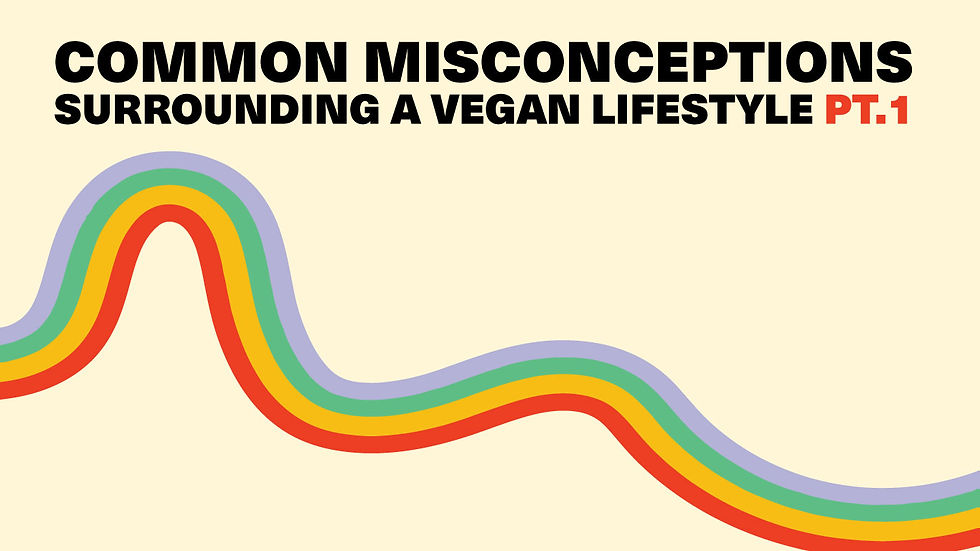 Common Misconceptions surrounding a vegan lifestyle.