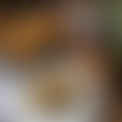 Stuffed Shell Pasta Bake