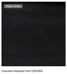 Calacatta Alabaster Noir 2501BG.png